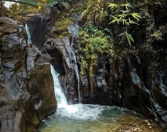 Nature scenery near Treetop Resort