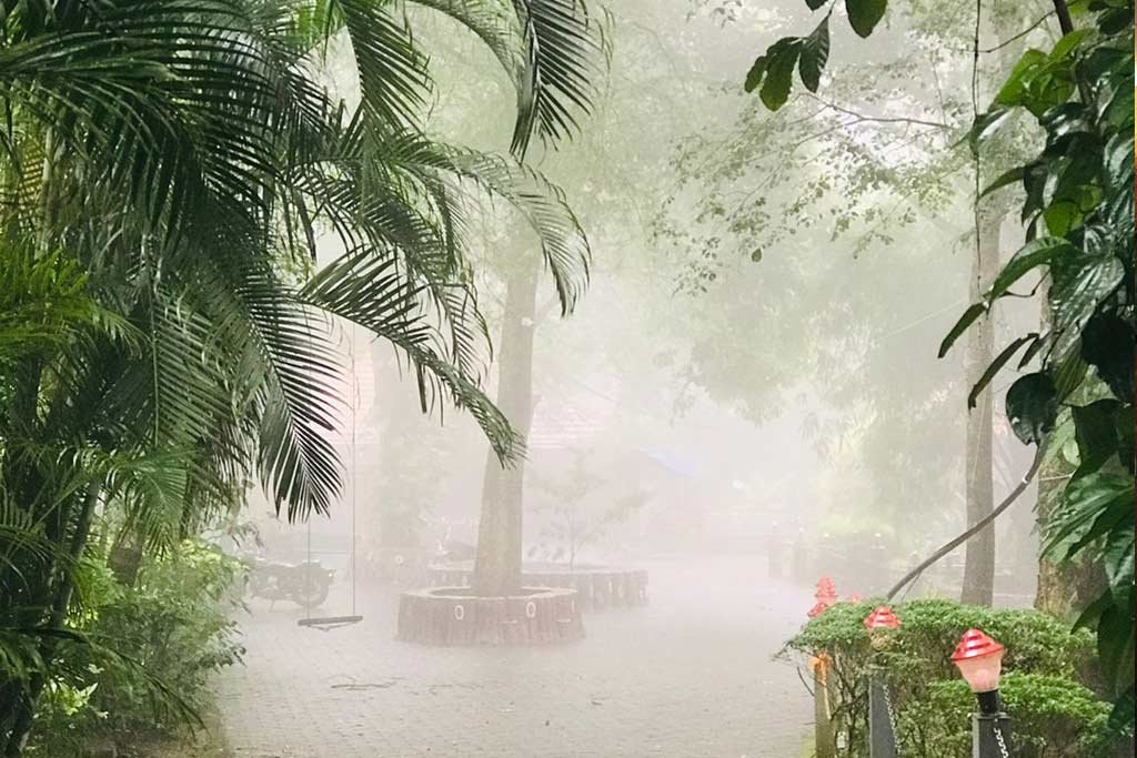 Superior Villa