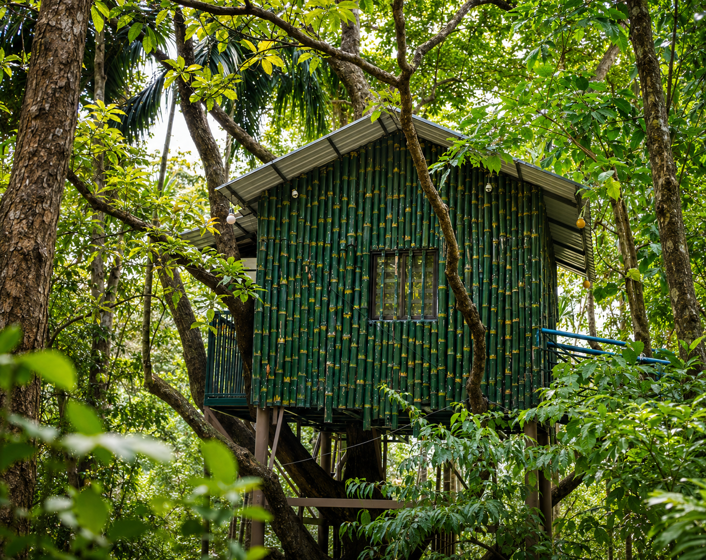 Tree House Deluxe at Treetop Resort